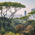 how urbanization is threatening global biodiversity